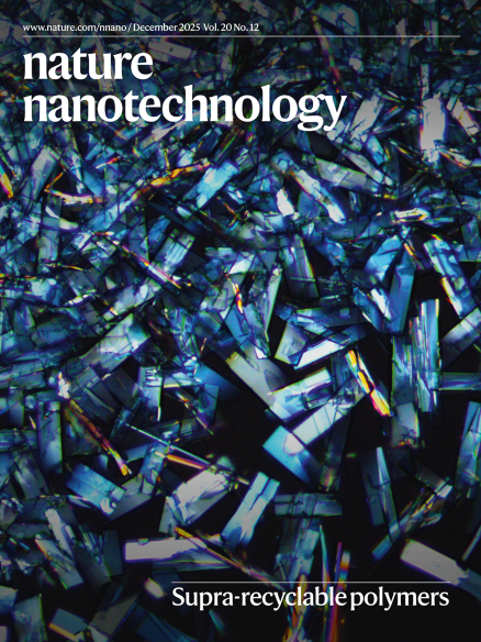 dong2025nanotechnology_placeholder.jpg